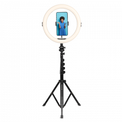 AgfaPhoto Realiview ARL11XL