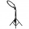 AgfaPhoto Realiview ARL11XL - 2. Leben